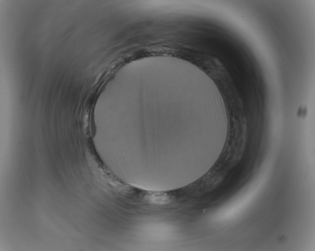 X0000114610767200911171035