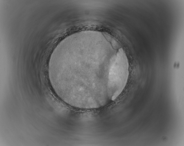 X0000114610769200911171034