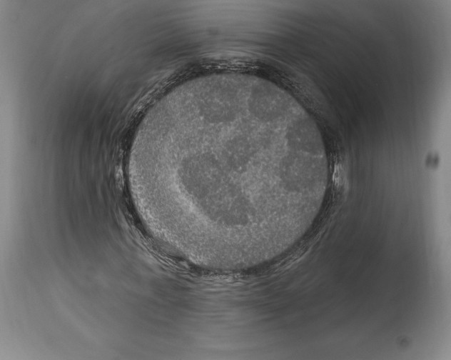 X0000114610771200911171034