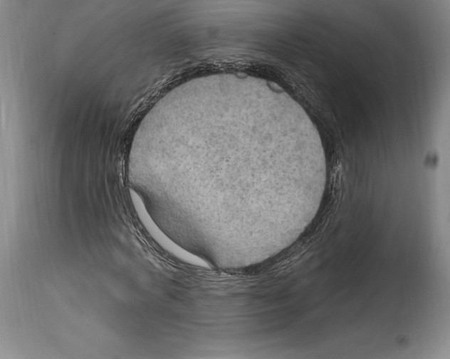 X0000114610772200911171034