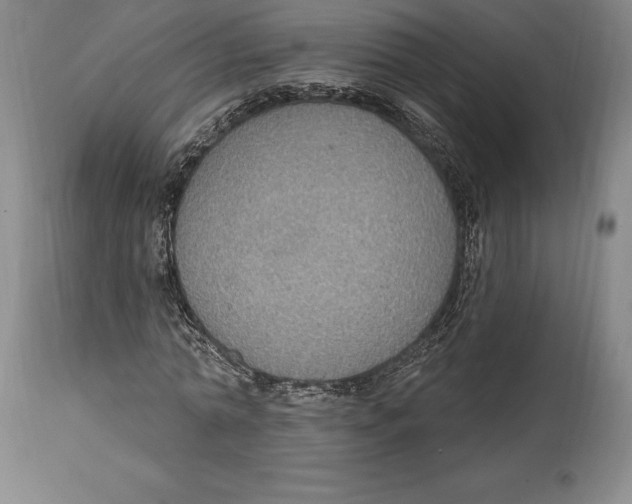 X0000114610774200911171034