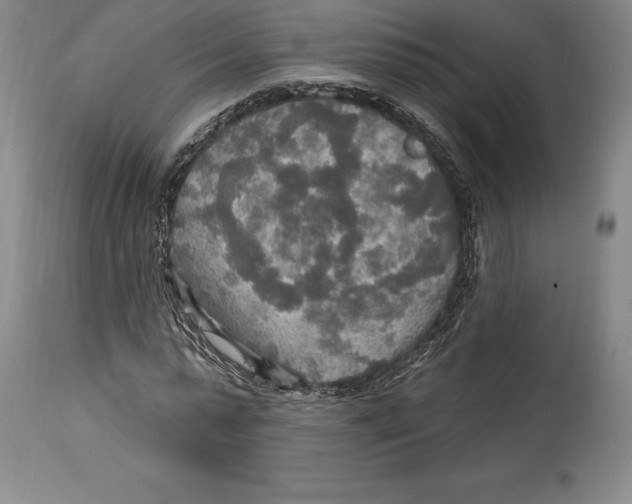 X0000114610775200911171034