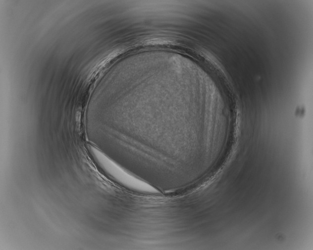 X0000114610777200911171034