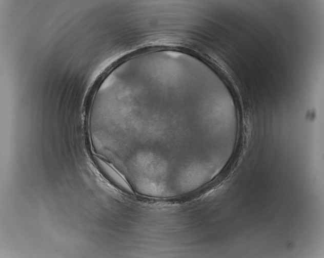 X0000114610779200911171034