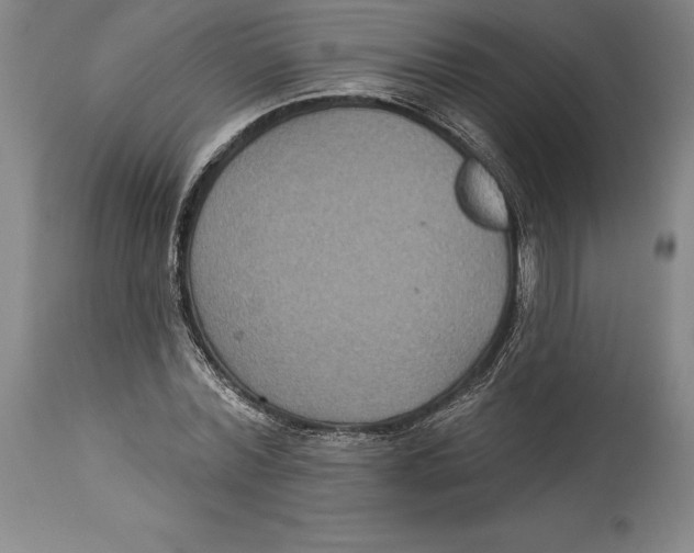 X0000114610780200911171034