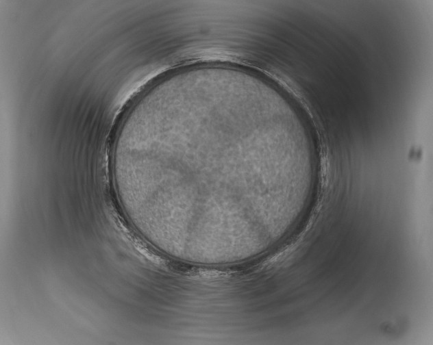 X0000114610782200911171034