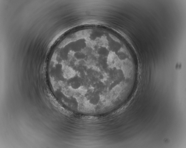 X0000114610783200911171034