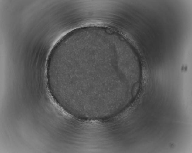 X0000114610784200911171034