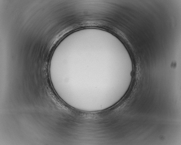 X0000114610786200911171034