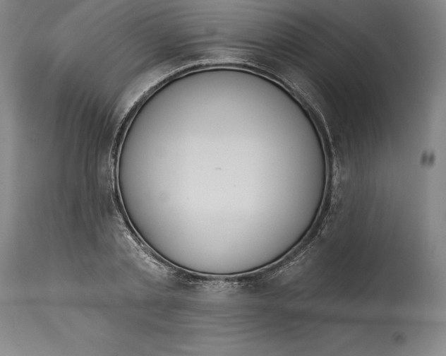 X0000114610789200911171034