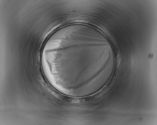 X0000114610790200911171034