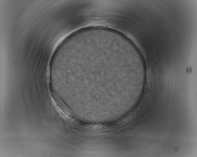 X0000114610791200911171034