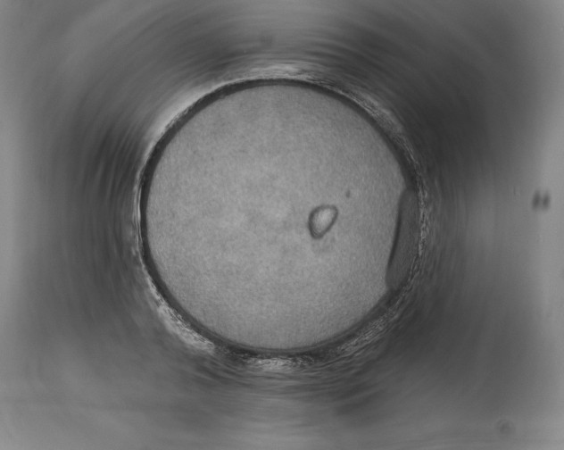 X0000114610792200911171034