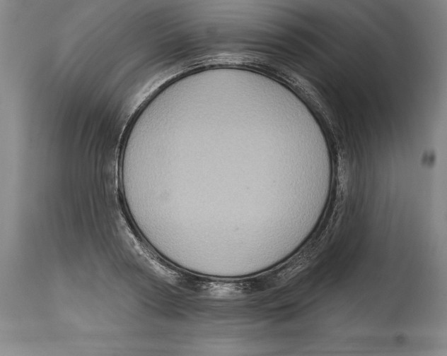 X0000114610794200911171034