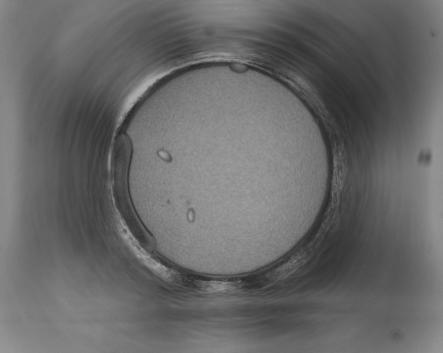 X0000114610796200911171034