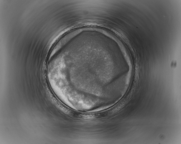 X0000114610798200911171034