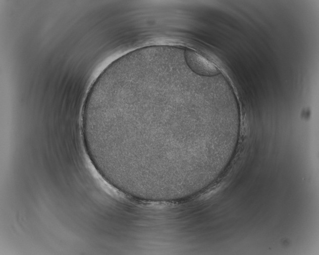 X0000114610803200911171033