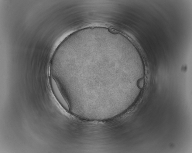 X0000114610804200911171033