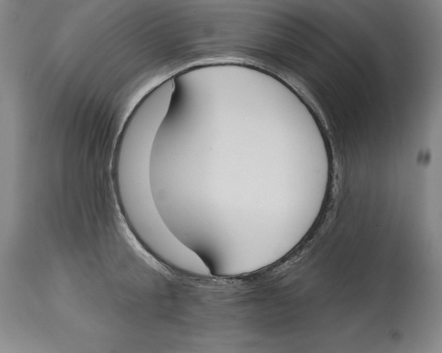 X0000114610805200911171033