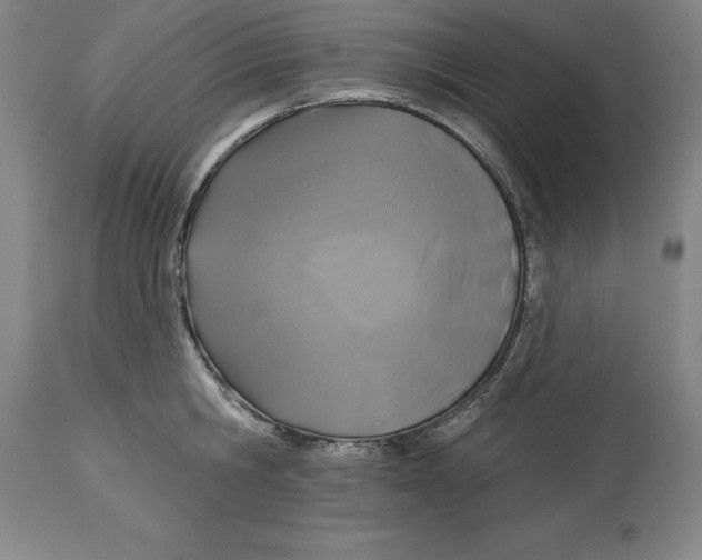 X0000114610806200911171033