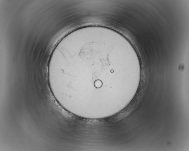 X0000114610807200911171033