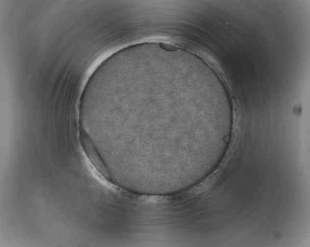 X0000114610808200911171033