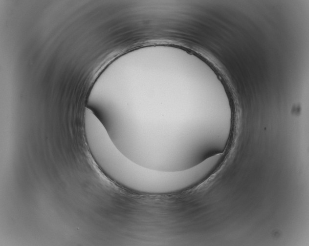 X0000114610809200911171033