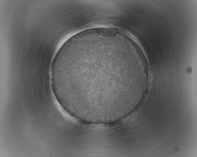 X0000114610811200911171033