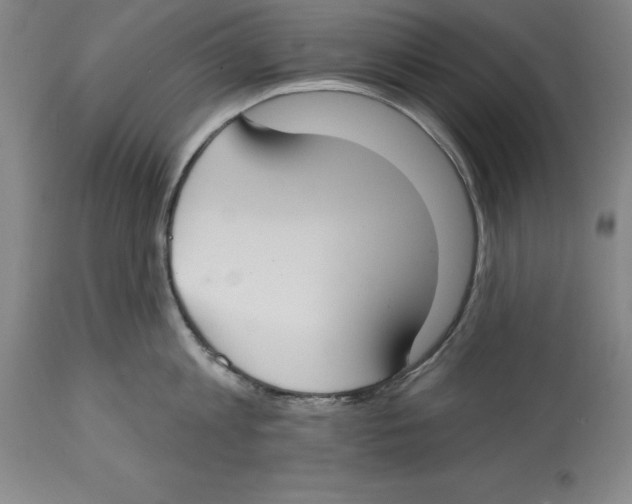 X0000114610813200911171033