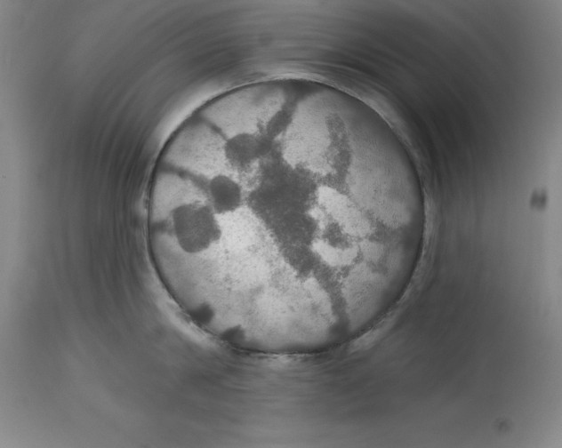 X0000114610814200911171033