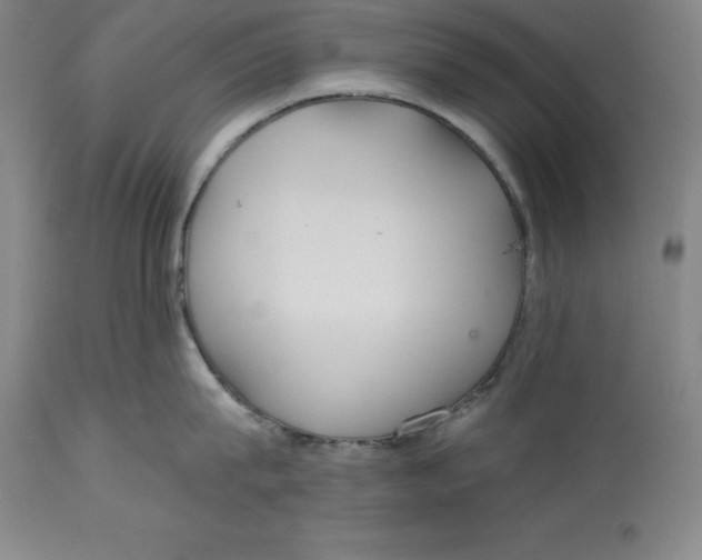 X0000114610815200911171033