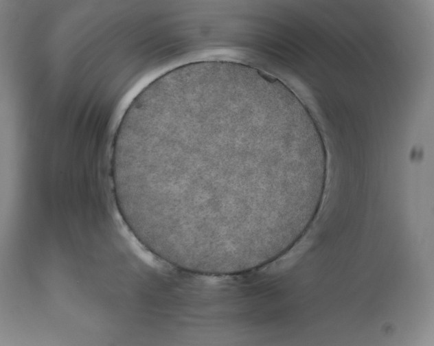 X0000114610816200911171033