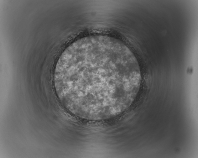 X0000114610817200911171033