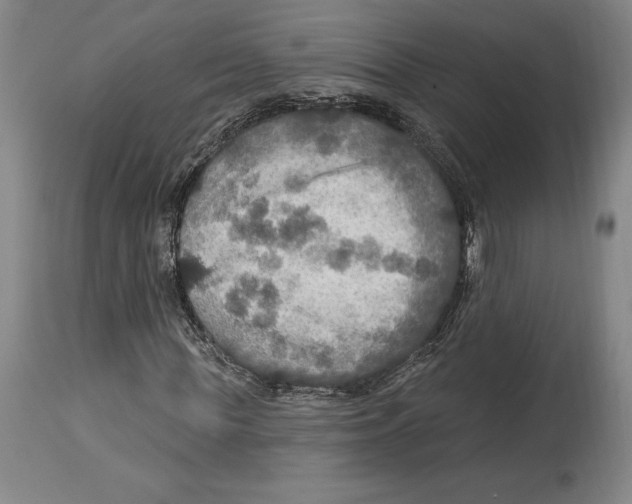 X0000114610819200911171033