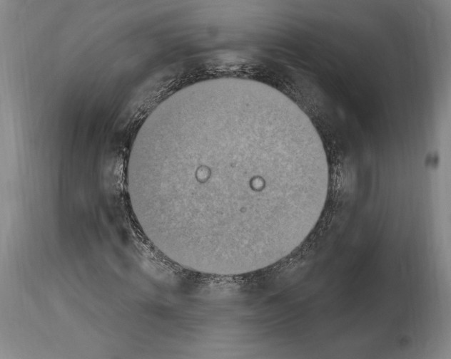 X0000114610820200911171033