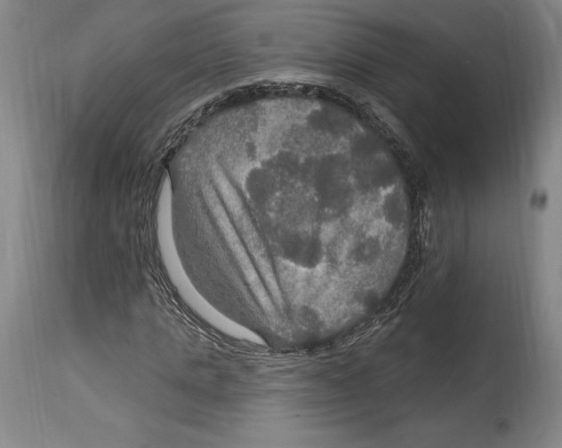 X0000114610821200911171033