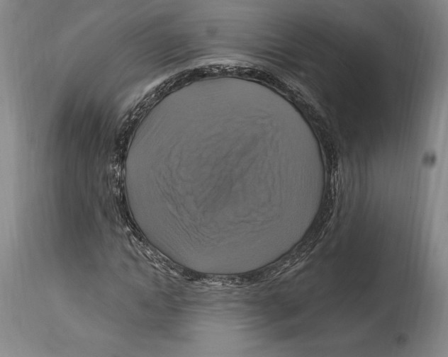 X0000114610822200911171033