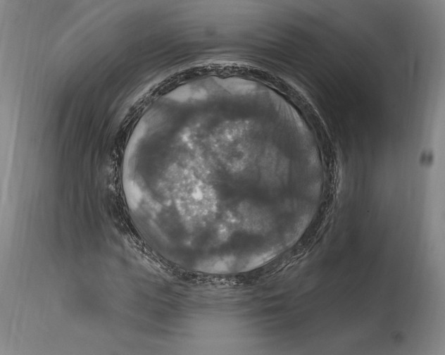 X0000114610823200911171033