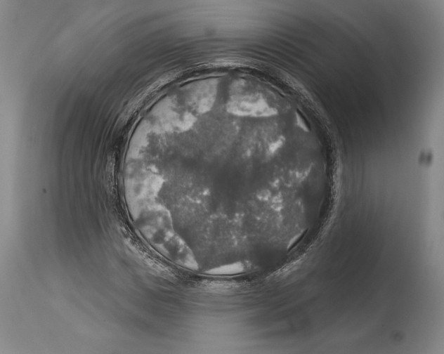 X0000114610825200911171033