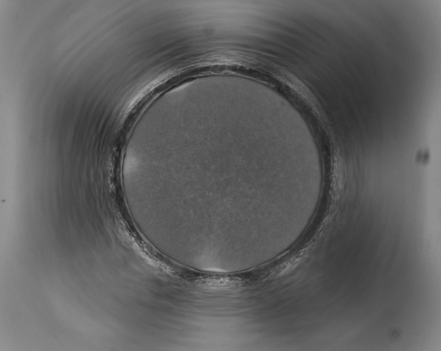 X0000114610826200911171033