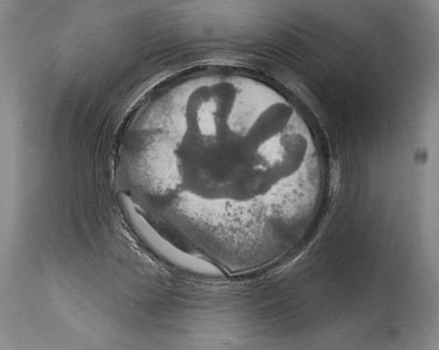 X0000114610829200911171033