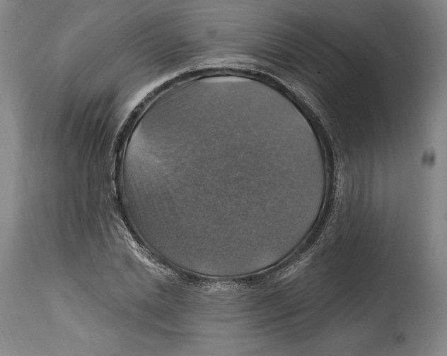 X0000114610830200911171033