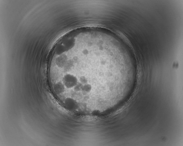 X0000114610831200911171033