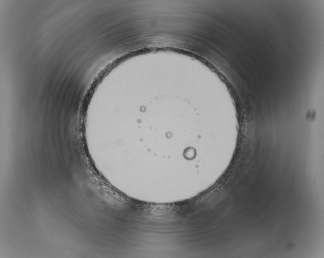 X0000114610832200911171033