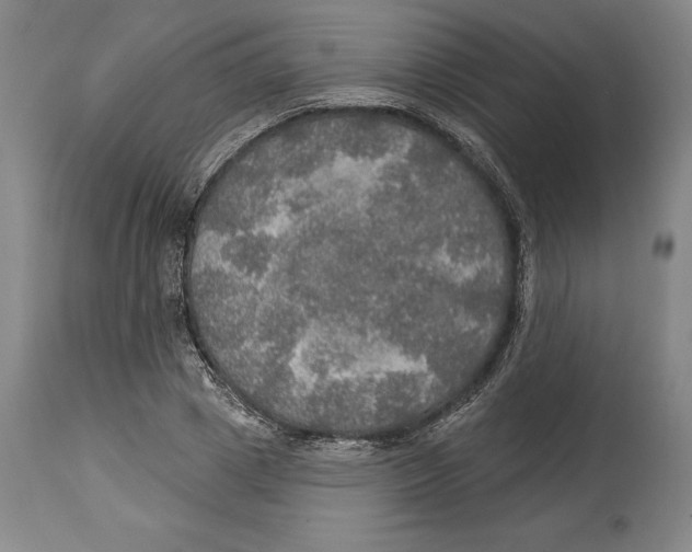 X0000114610833200911171033