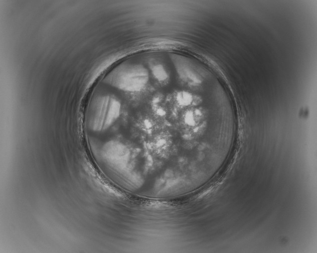 X0000114610835200911171033