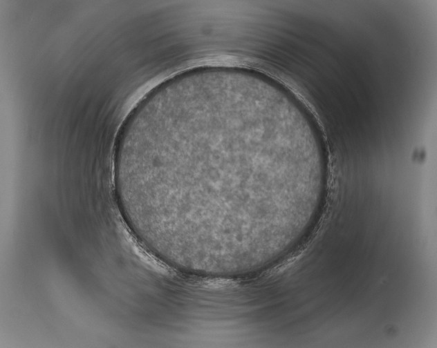 X0000114610837200911171033