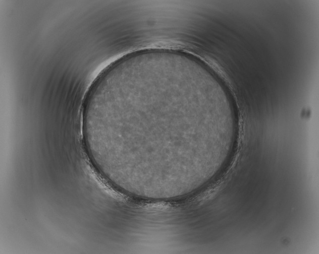 X0000114610838200911171033