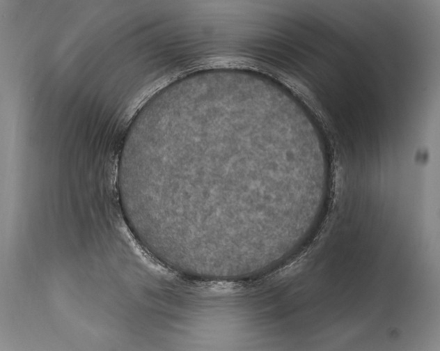 X0000114610841200911171033