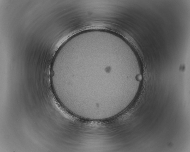 X0000114610842200911171033